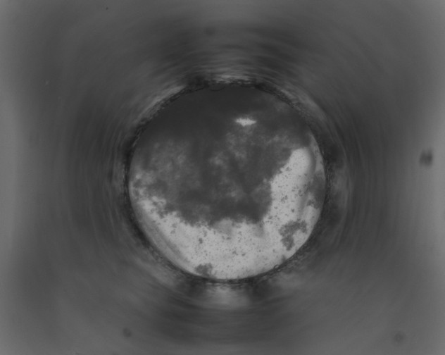 X0000092090565200710101103