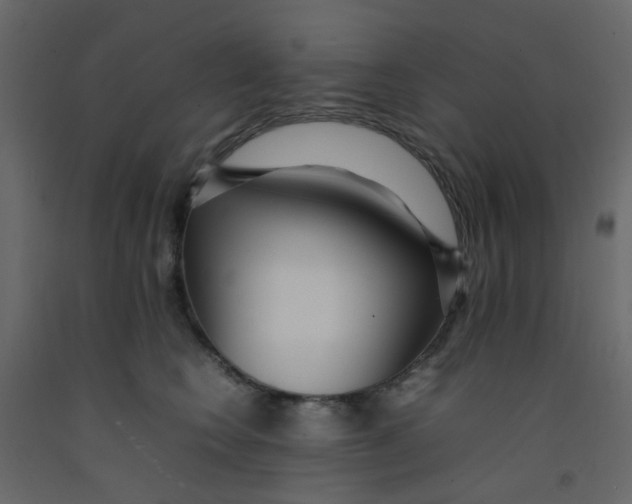 X0000092090566200710101103