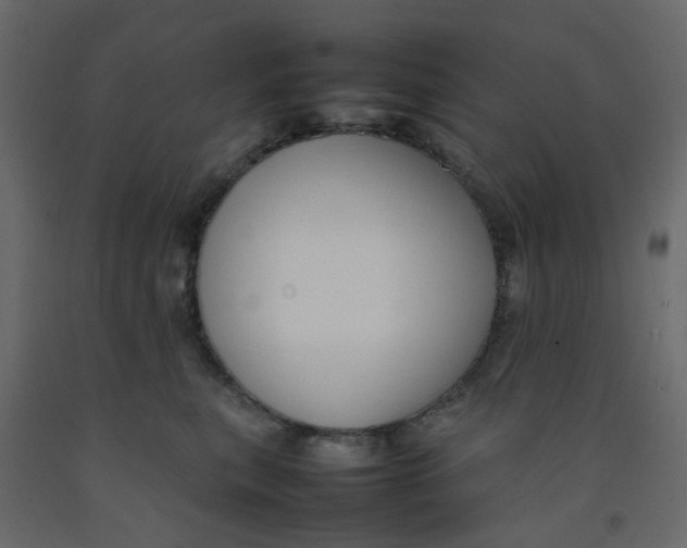 X0000092090567200710101103