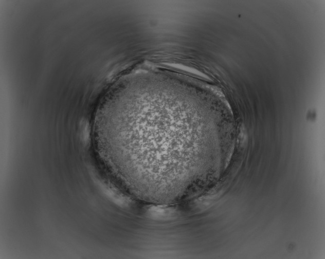 X0000092090568200710101103