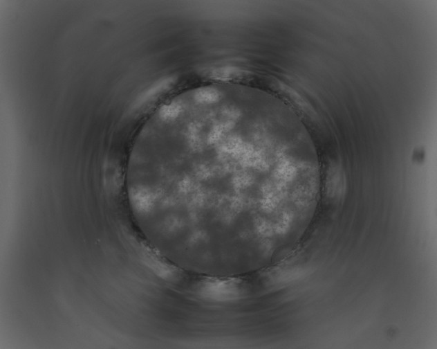 X0000092090569200710101103