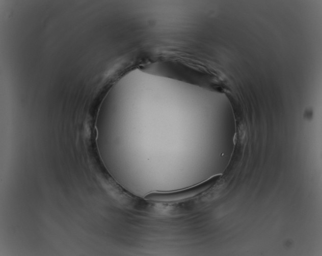 X0000092090570200710101103