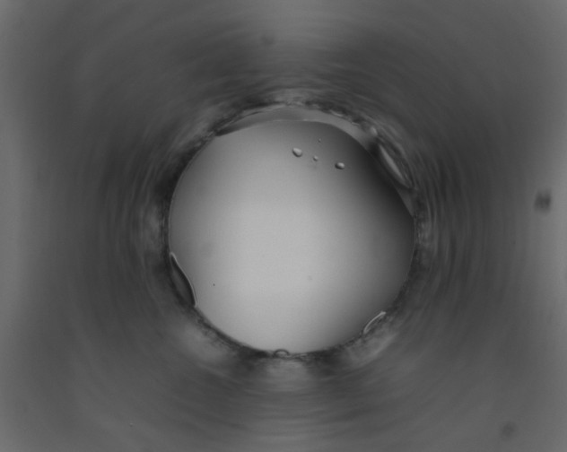 X0000092090572200710101103