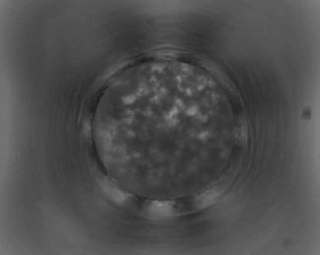 X0000092090573200710101103