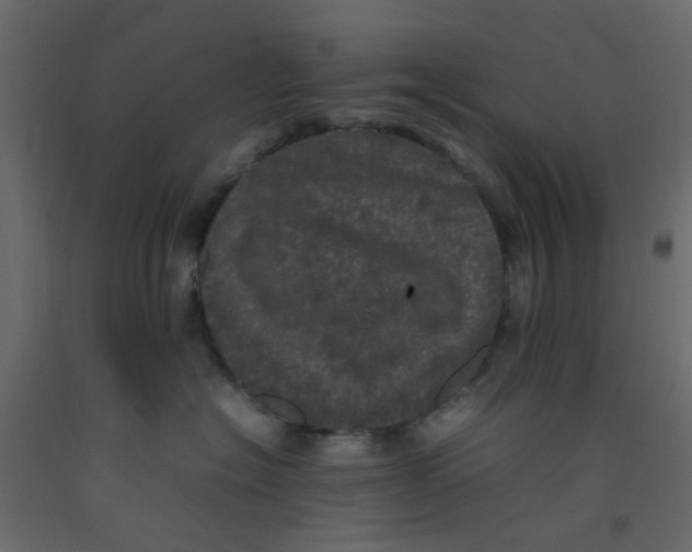 X0000092090574200710101103