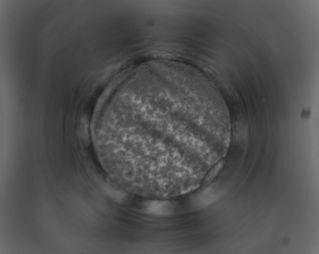 X0000092090575200710101103