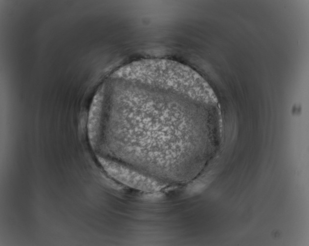 X0000092090576200710101103
