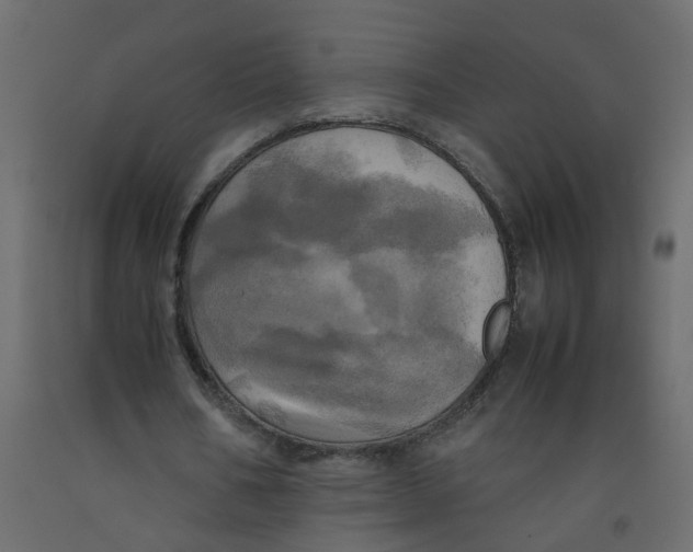 X0000092090578200710101103