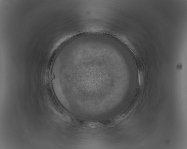 X0000092090579200710101103