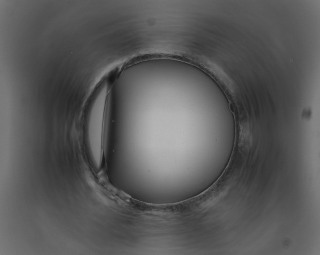 X0000092090580200710101103