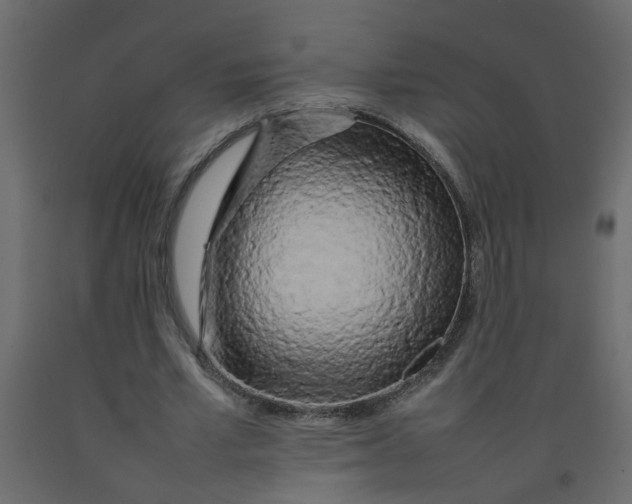 X0000092090581200710101103