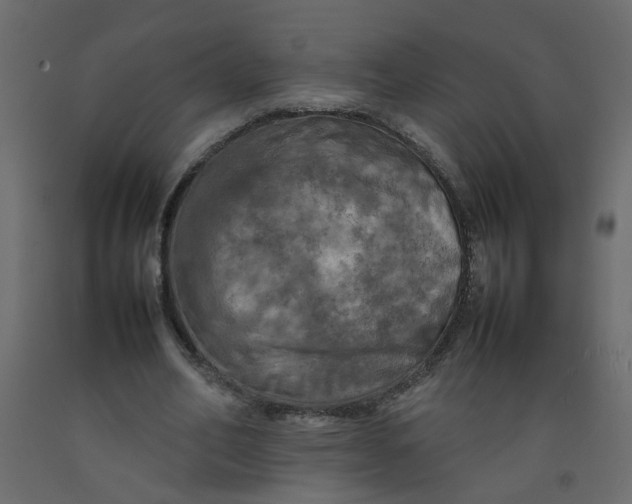 X0000092090582200710101103