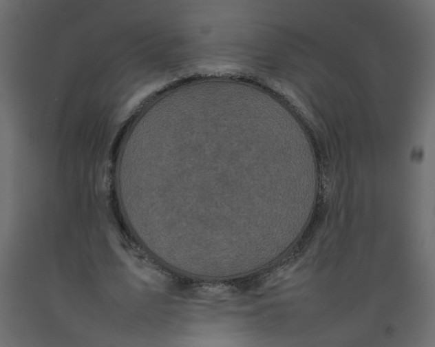 X0000092090583200710101103