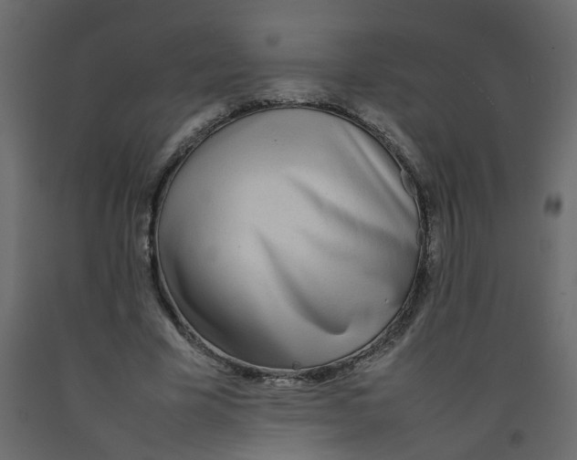 X0000092090585200710101103