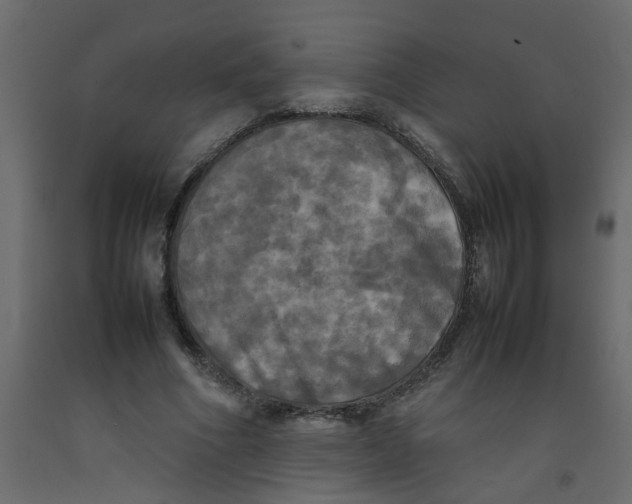 X0000092090586200710101103