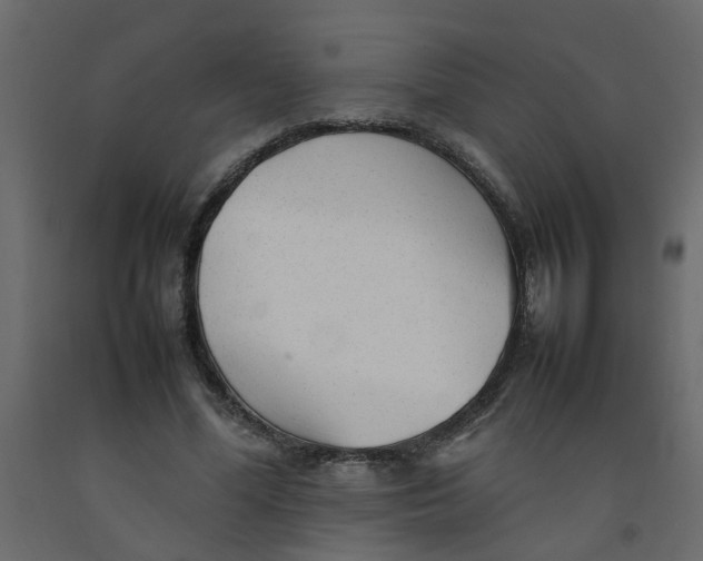 X0000092090588200710101103