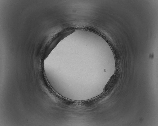 X0000092090589200710101103