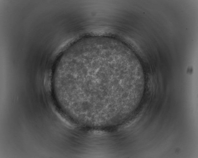 X0000092090590200710101103