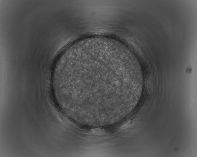 X0000092090591200710101103