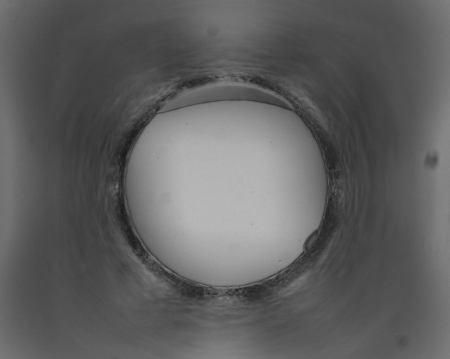 X0000092090593200710101103