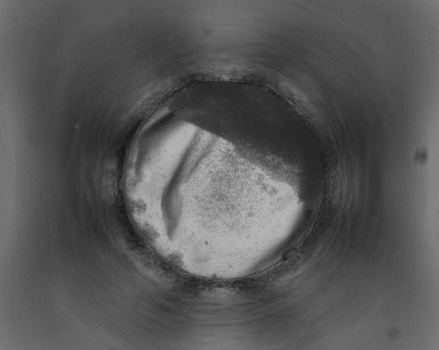 X0000092090594200710101103