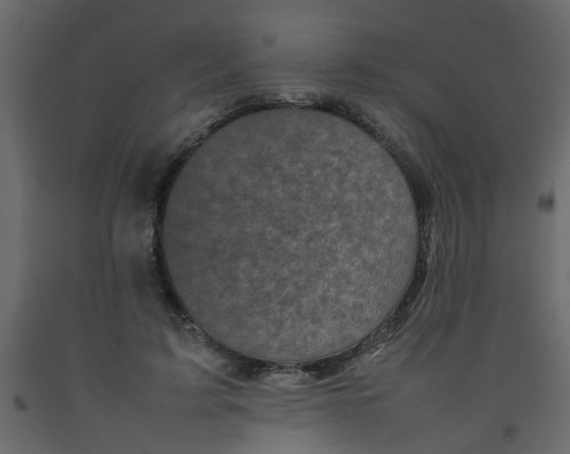 X0000092090595200710101103