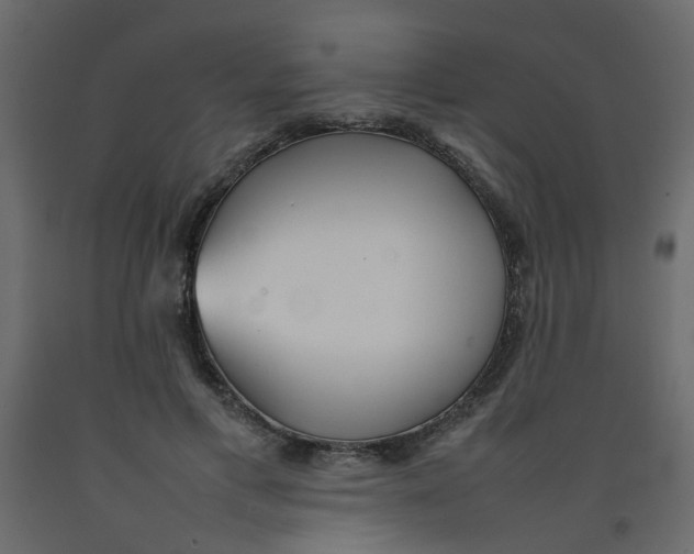 X0000092090597200710101103