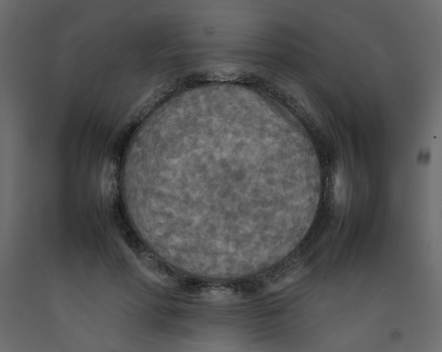X0000092090598200710101103
