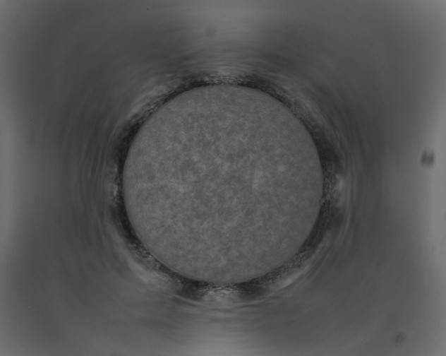 X0000092090599200710101103