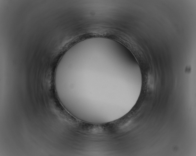 X0000092090600200710101103