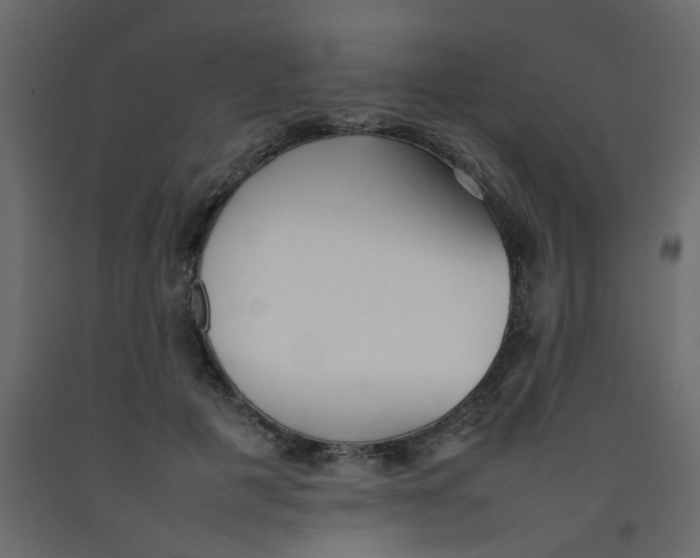 X0000092090601200710101103