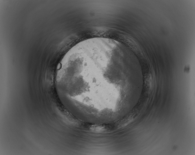 X0000092090602200710101102