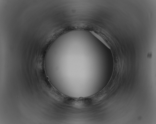 X0000092090604200710101102