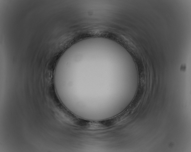 X0000092090605200710101102