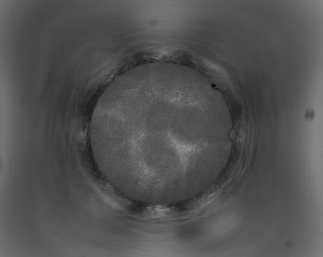 X0000092090607200710101102