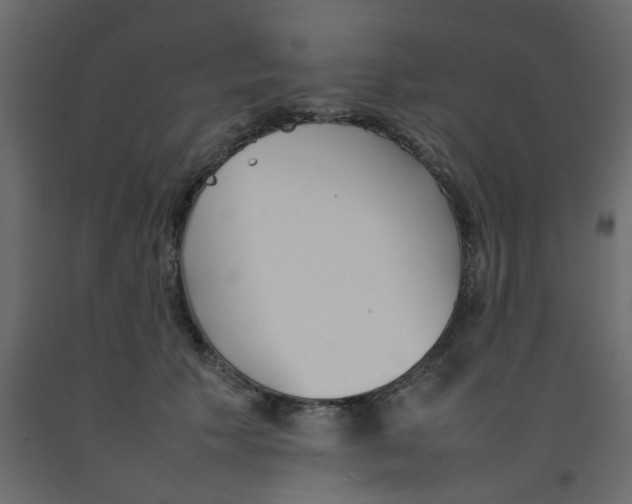 X0000092090609200710101102