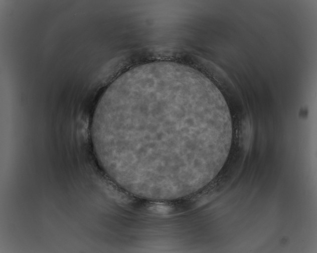 X0000092090610200710101102
