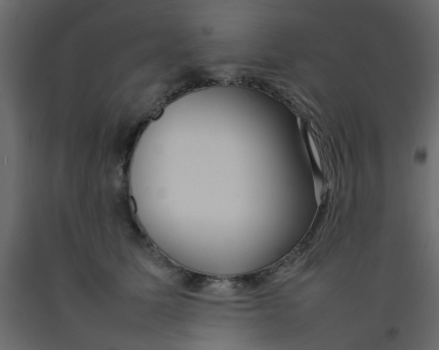 X0000092090611200710101102