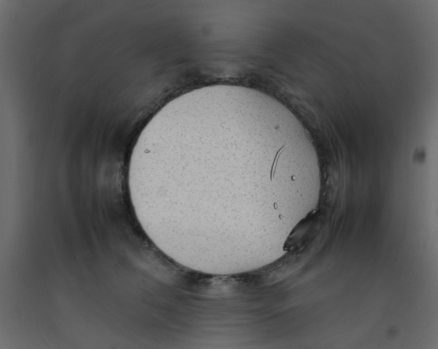X0000092090612200710101102