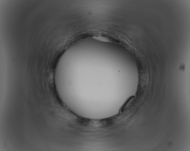 X0000092090613200710101102