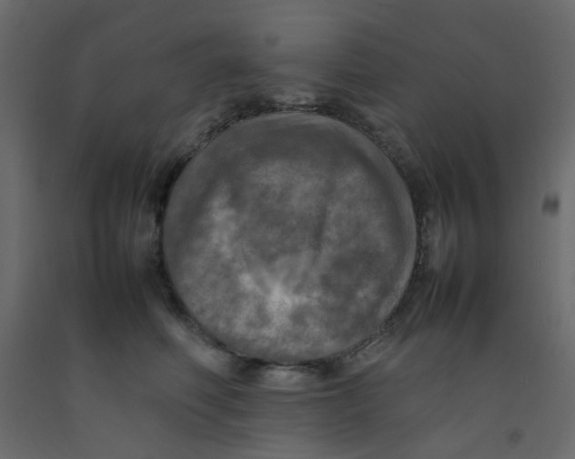 X0000092090614200710101102
