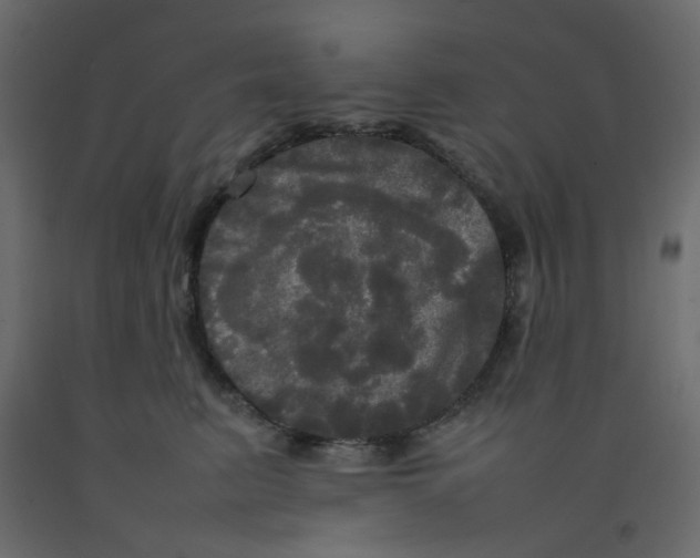 X0000092090615200710101102