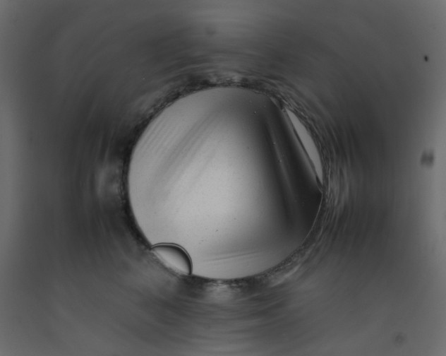 X0000092090616200710101102