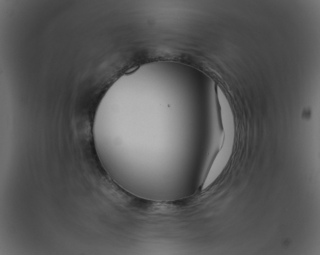 X0000092090617200710101102