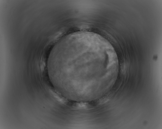 X0000092090618200710101102