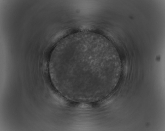X0000092090619200710101102