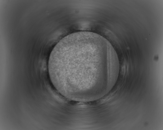 X0000092090620200710101102
