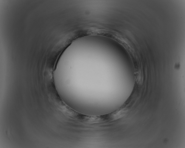 X0000092090621200710101102