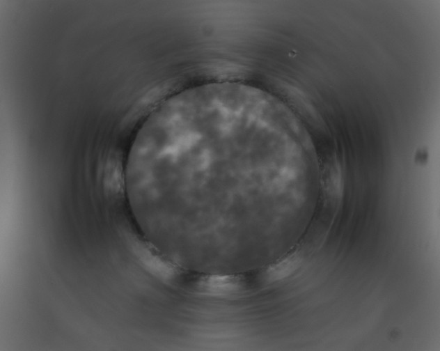 X0000092090622200710101102