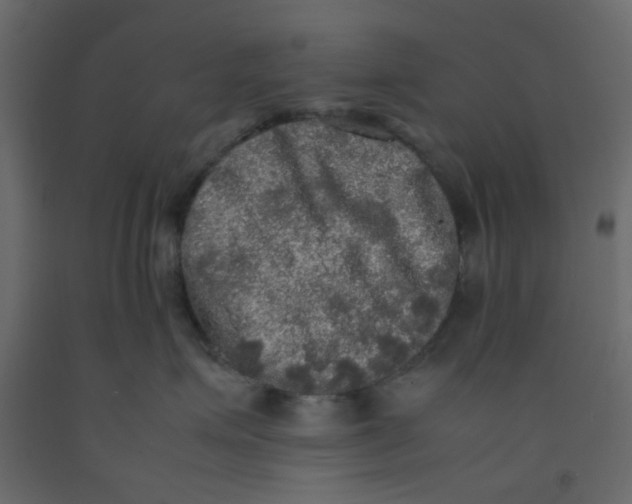 X0000092090623200710101102